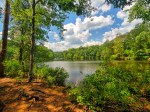 S.C. Court of Appeals (perhaps needlessly) clarifies the public hearing requirement for zoning ordinance amendments.
